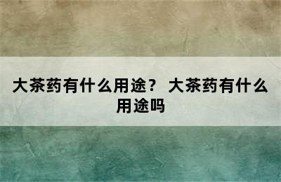 大茶药有什么用途？ 大茶药有什么用途吗